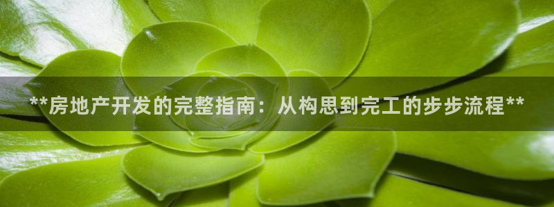 万向娱乐挂机
