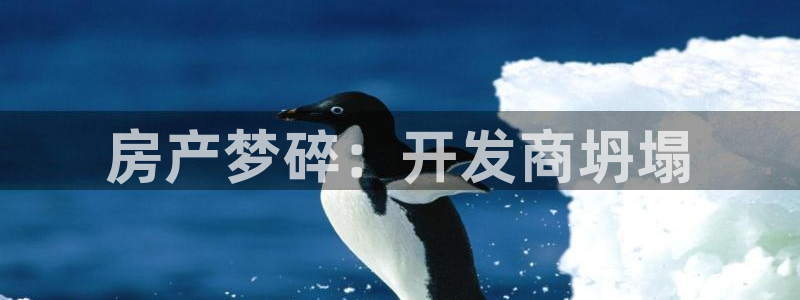 万向娱乐官网下载安装最新版