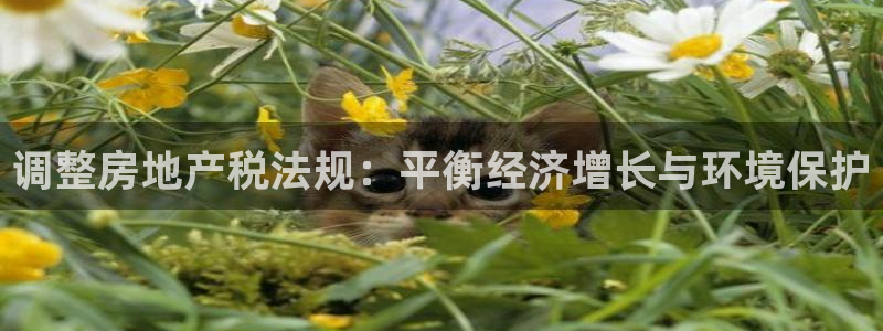 万向娱乐首页