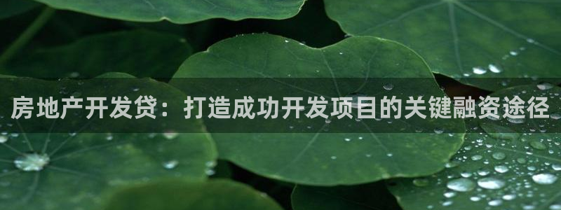 万向娱乐挂机