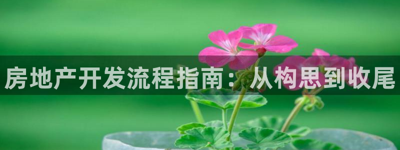 万向娱乐平台代理怎么做