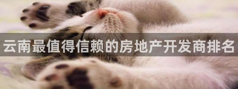 万向娱乐挂机
