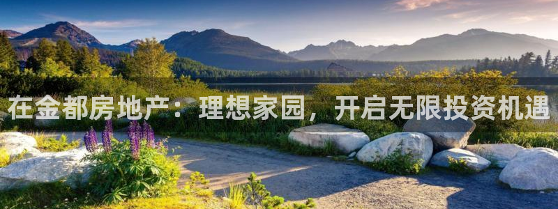 万向娱乐公司官网