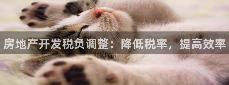 万向娱乐的联系方式