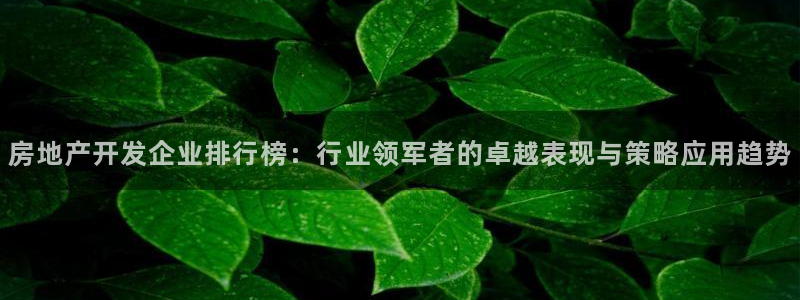 万向娱乐代理好看视频