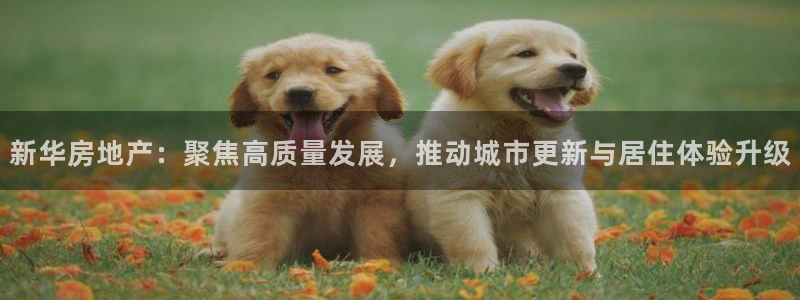 万向娱乐登陆
