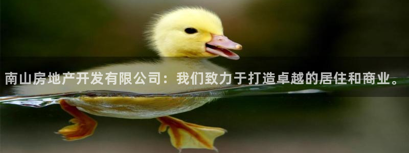 万向娱乐招商
