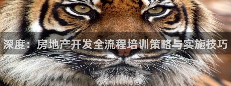 万向娱乐平台好不