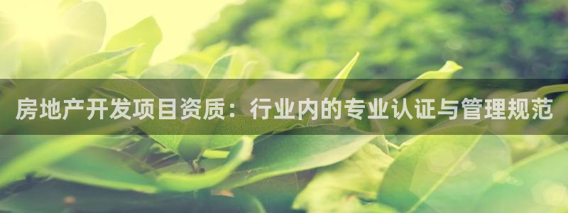 万向娱乐平台代理多少钱