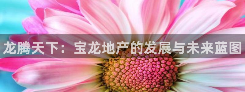 万向娱乐灯333OO