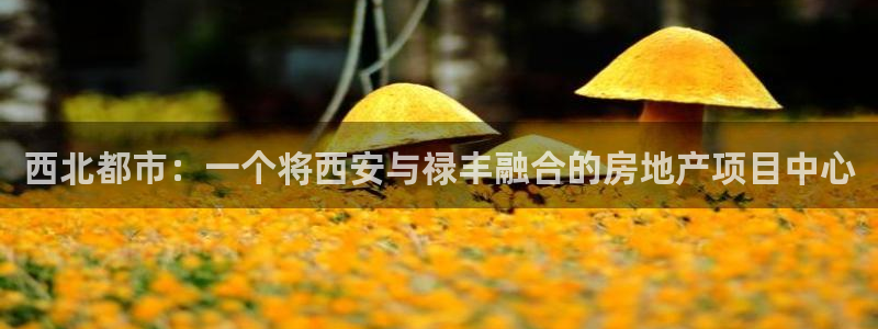 万向娱乐平台代理怎么样啊