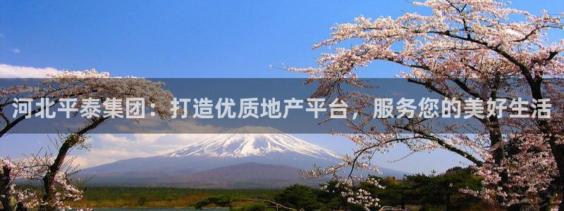 万向娱乐登陆官网下载